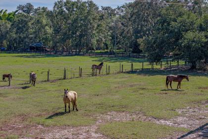 Property image.