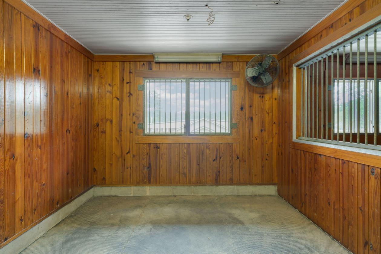 Magnificent 31+ ac equestrian estate - photo 18