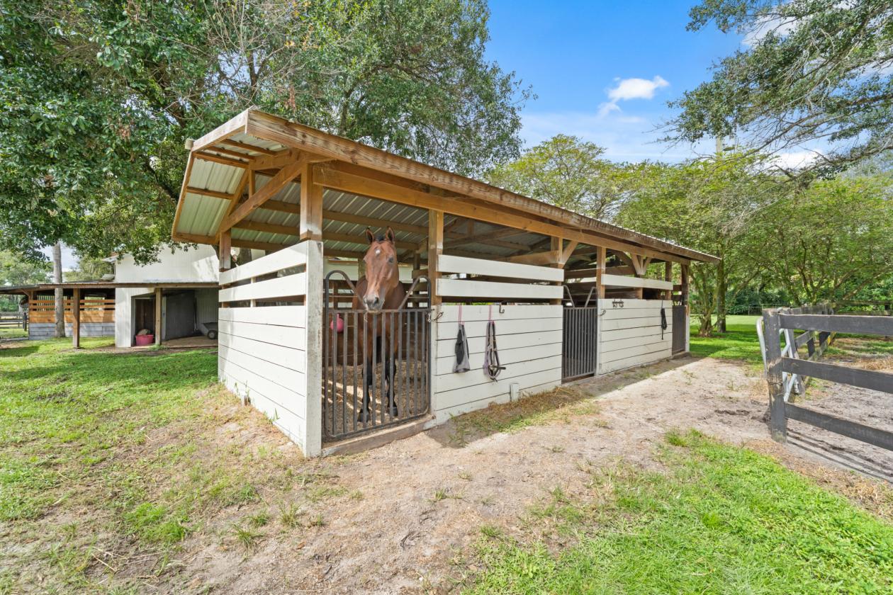 For the Horse Professional - 21 stalls/arena/pool - photo 10