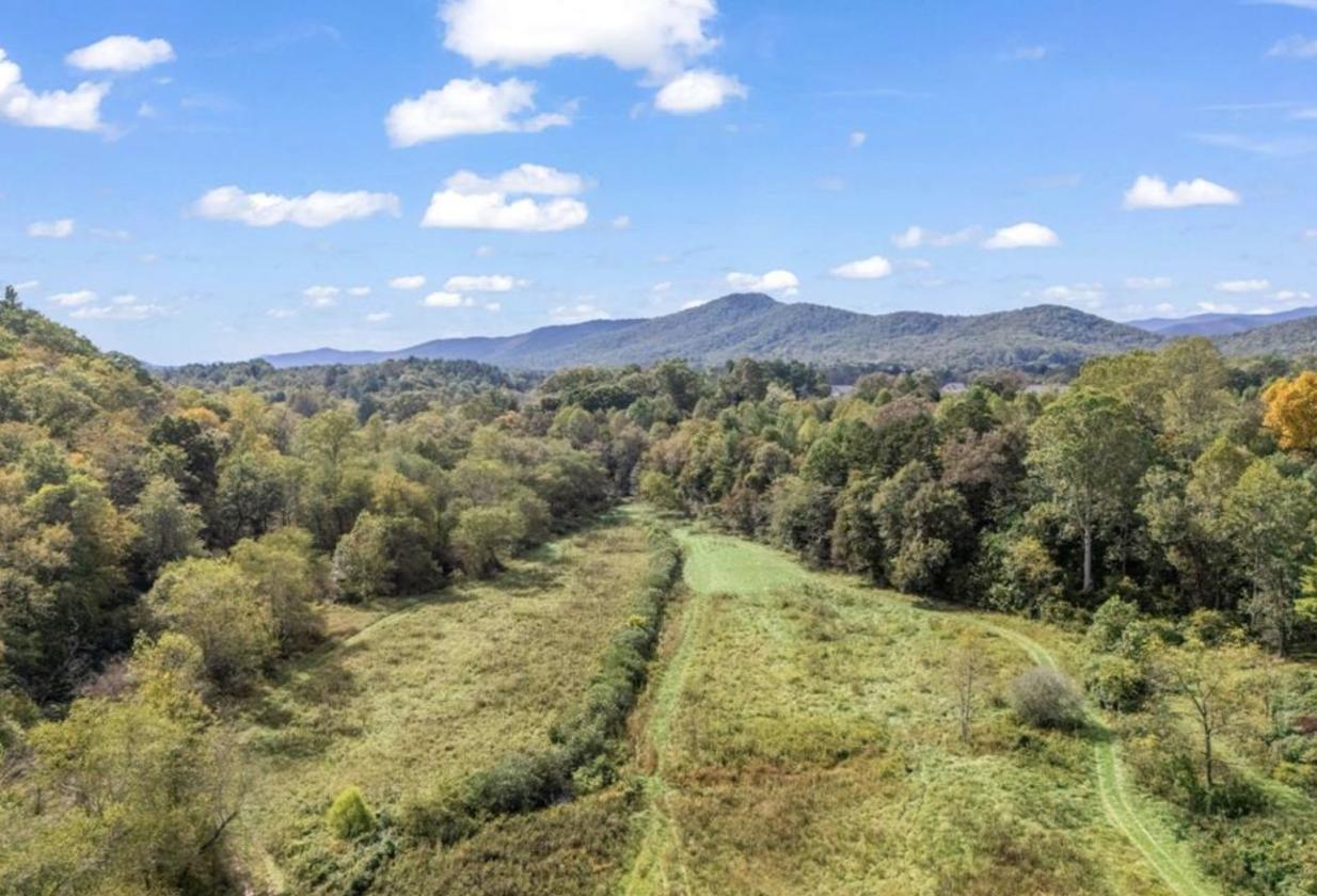 Nearly 50 Acres, Close to Asheville - photo 17