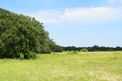 Property image.