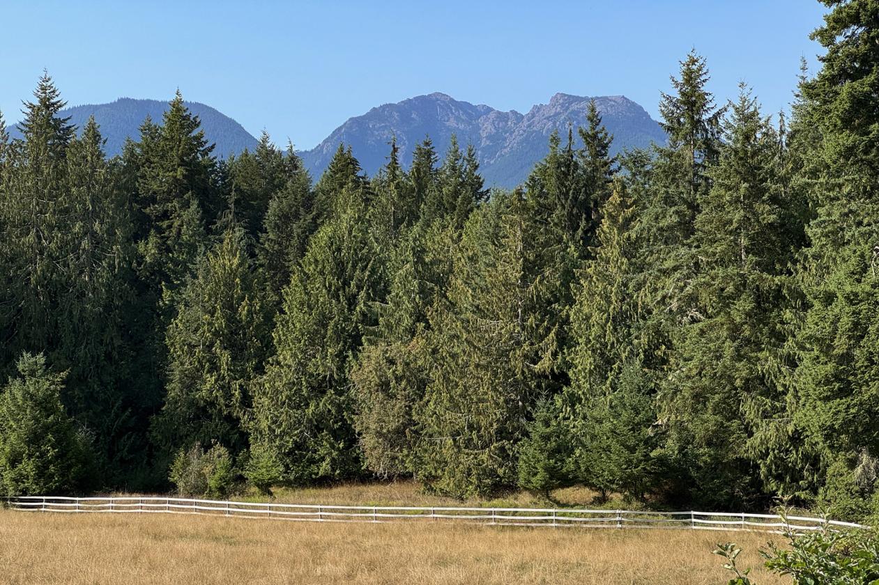 18+ Acre Turn-Key Ranch With Mountain Views - photo 16
