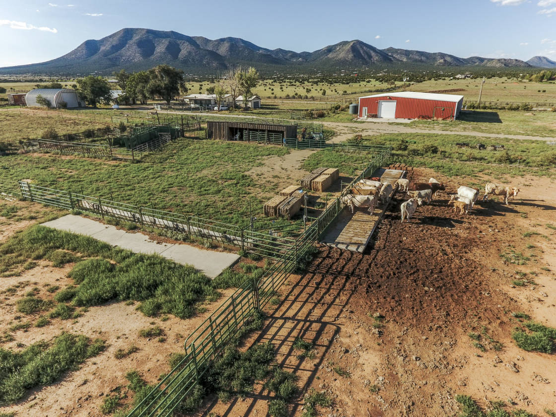 Southern Santa Fe County NM Cattle Ranch For Sale House... Edgewood