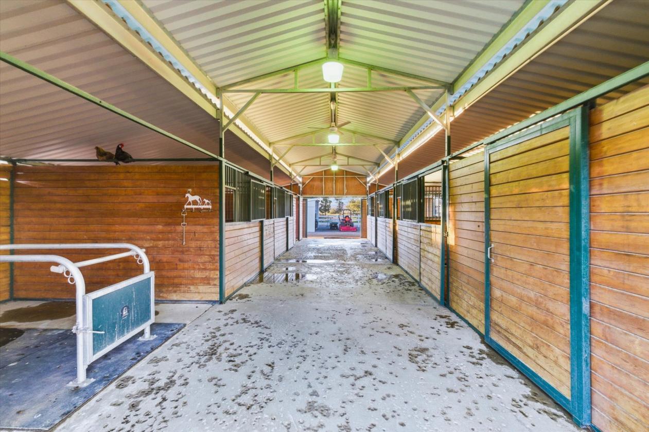 5 acre horse property and hobby farm w/vineyard - photo 7