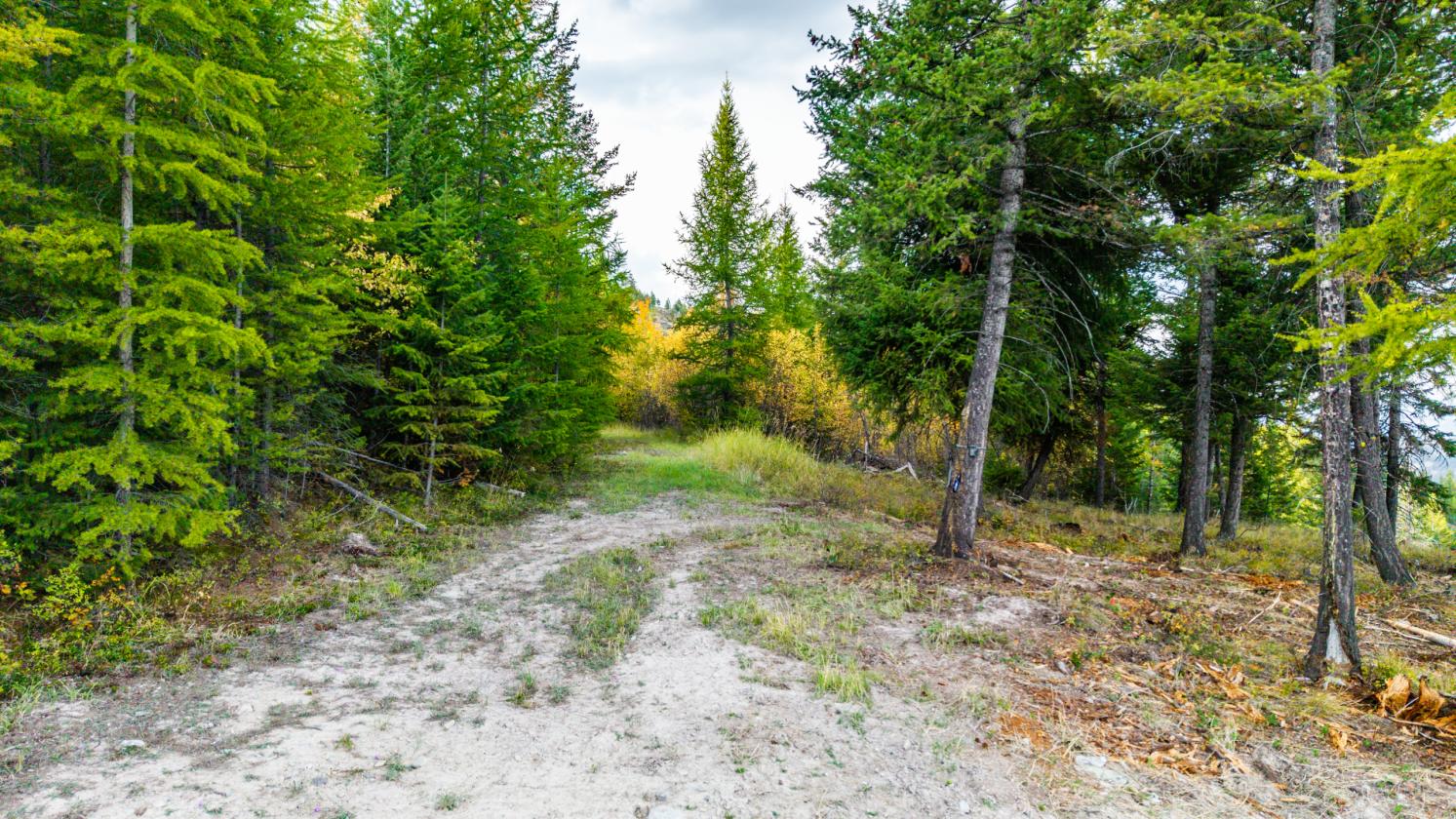 350 Acres & Private Access to MT Forest Service - photo 25