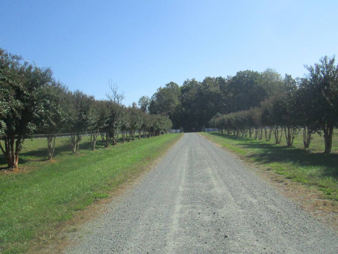 Horse Farm with potential development - photo 13
