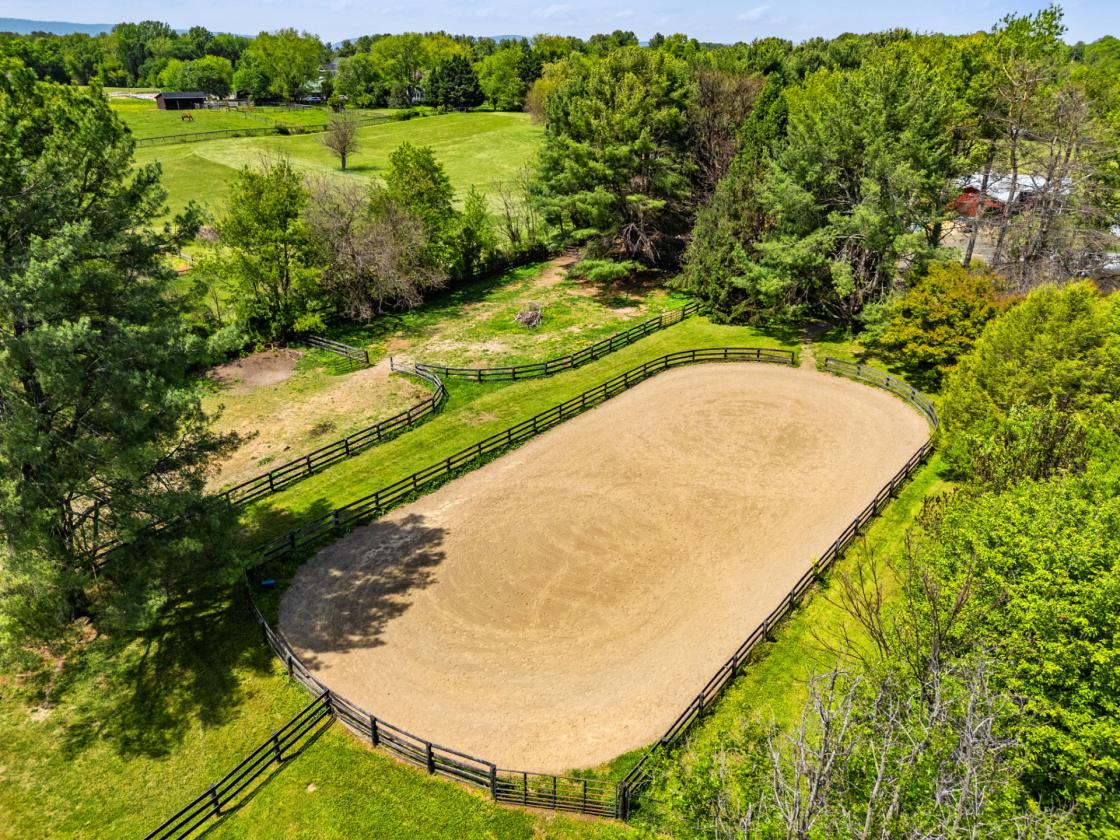 Black Jack Farm - photo 3