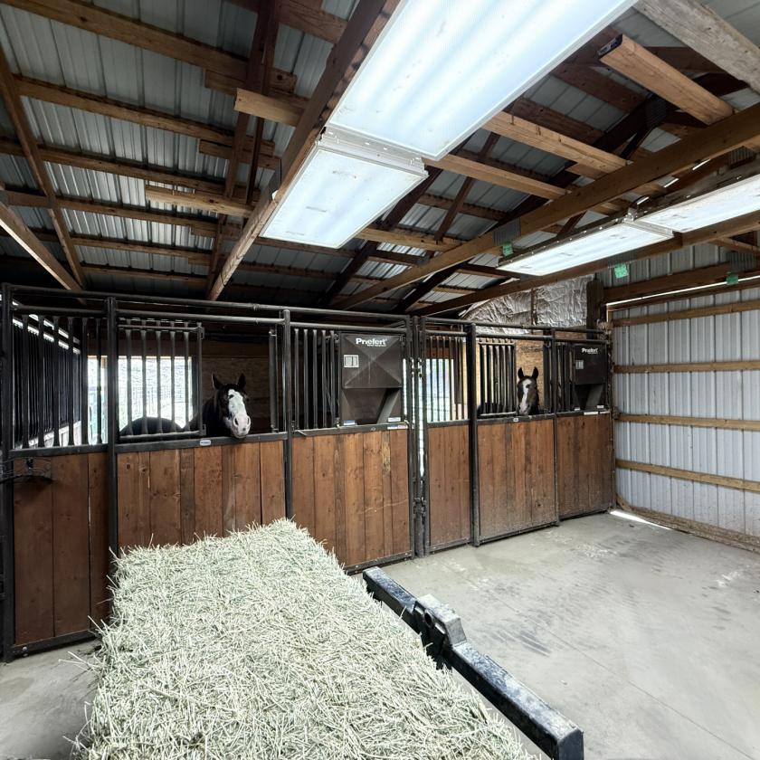 Cash Ranch - photo 20