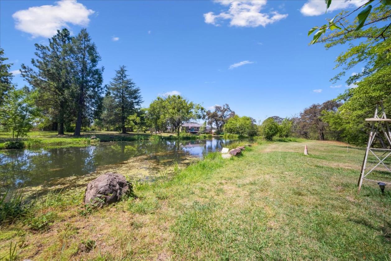 Professional Rodeo setup and Gorgeous House - photo 25