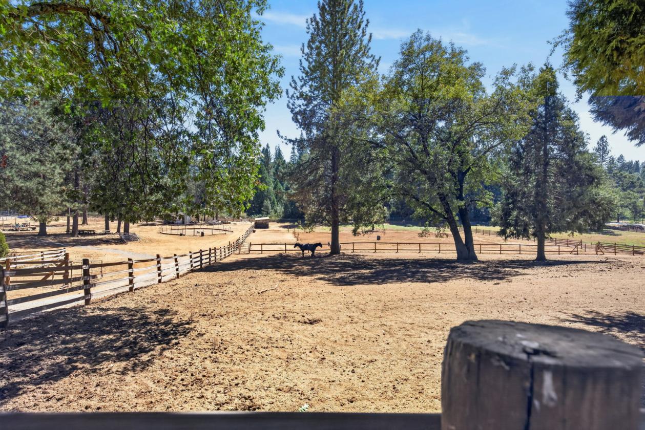 The Equestrian Lifestyle You've Been Waiting For - photo 13