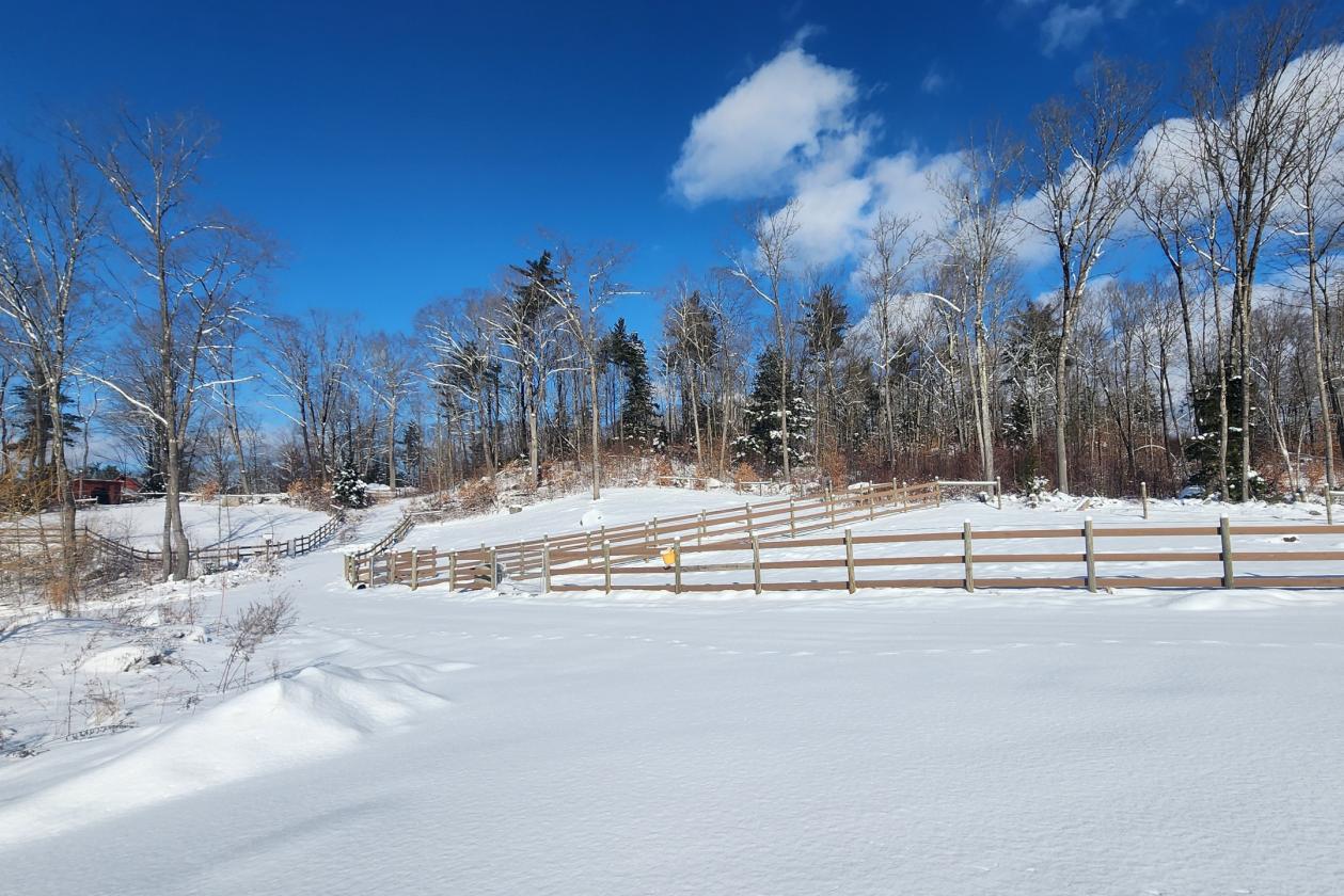 Shooting Star Farm - photo 6