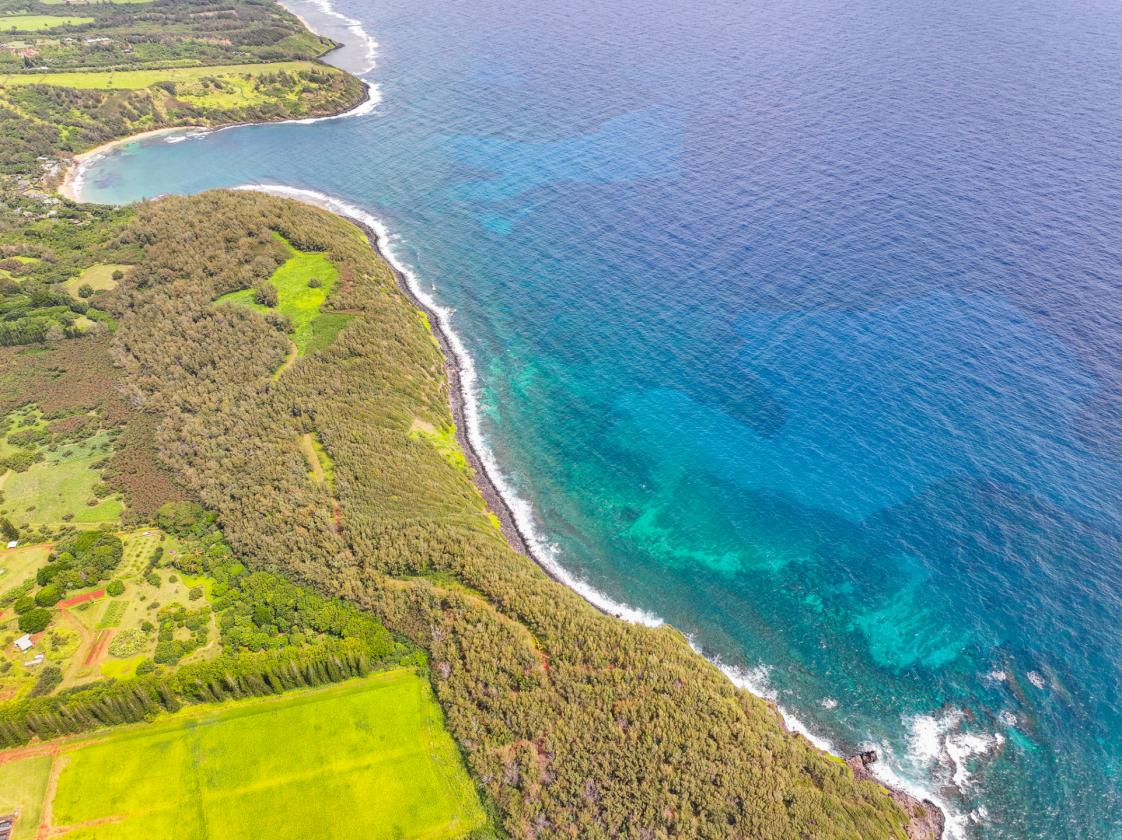 Agricultural & Equestrian Haven in Kauai - photo 26