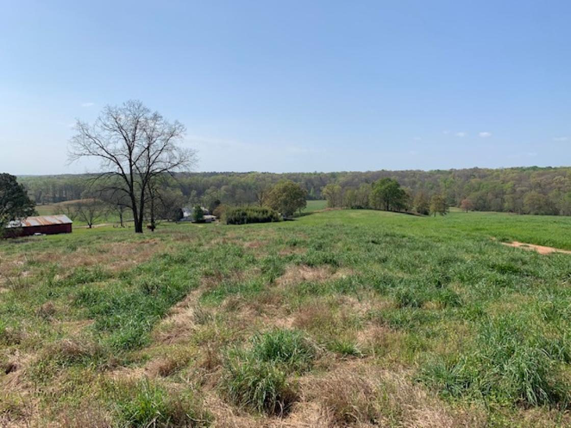 Madison County - Large Estate Farm - photo 29