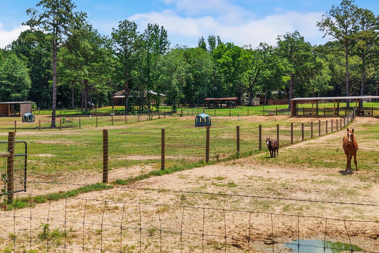 89.99 acre horse farm with lighted arena & more - photo 19