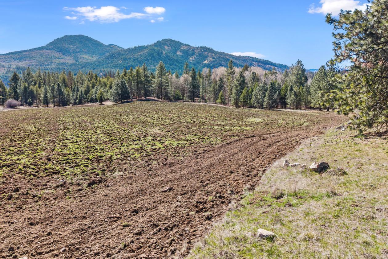 Gorgeous 63 Acres - photo 6