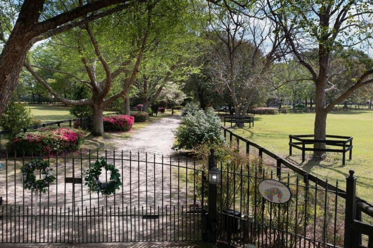 Daisy Hill Farm - Horse Property - photo 26