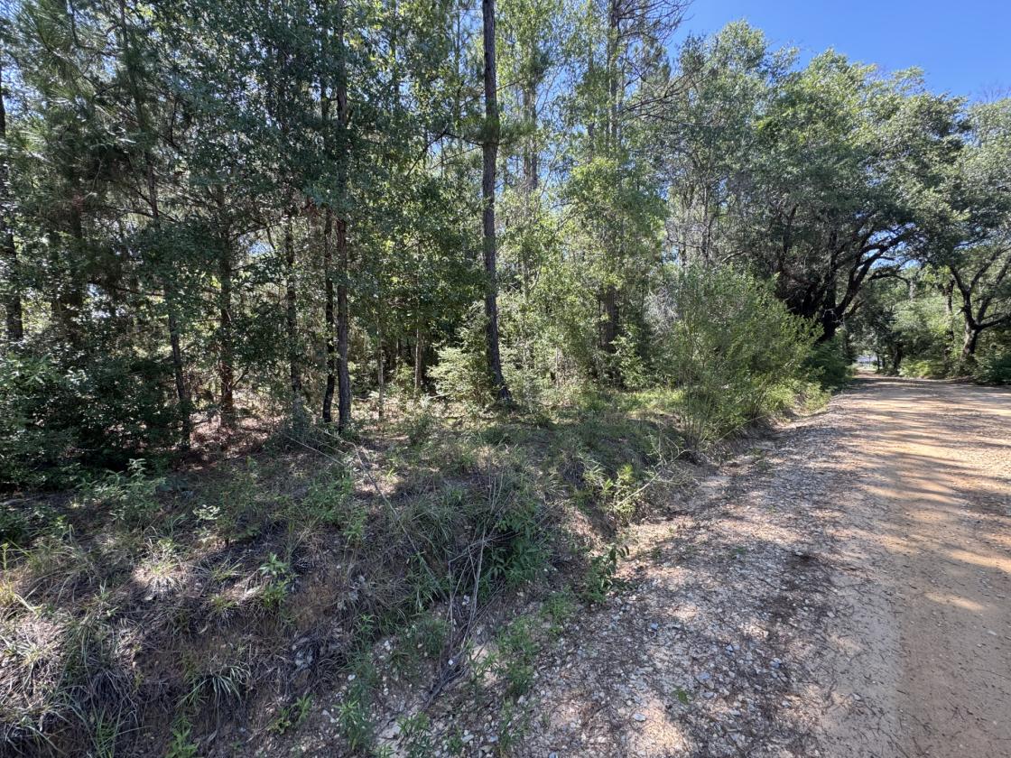 6+ Acres on Golf Course, 2 Barns, 1 House, NO HOA - photo 5