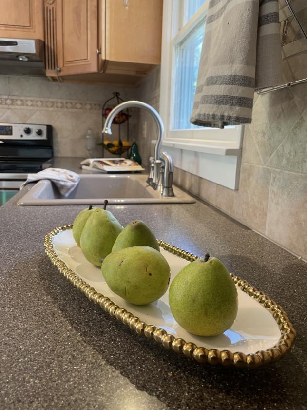Homesteading Property - photo 17