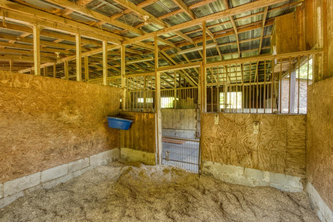 Gorgeous Pastures & Endless Potential - photo 15