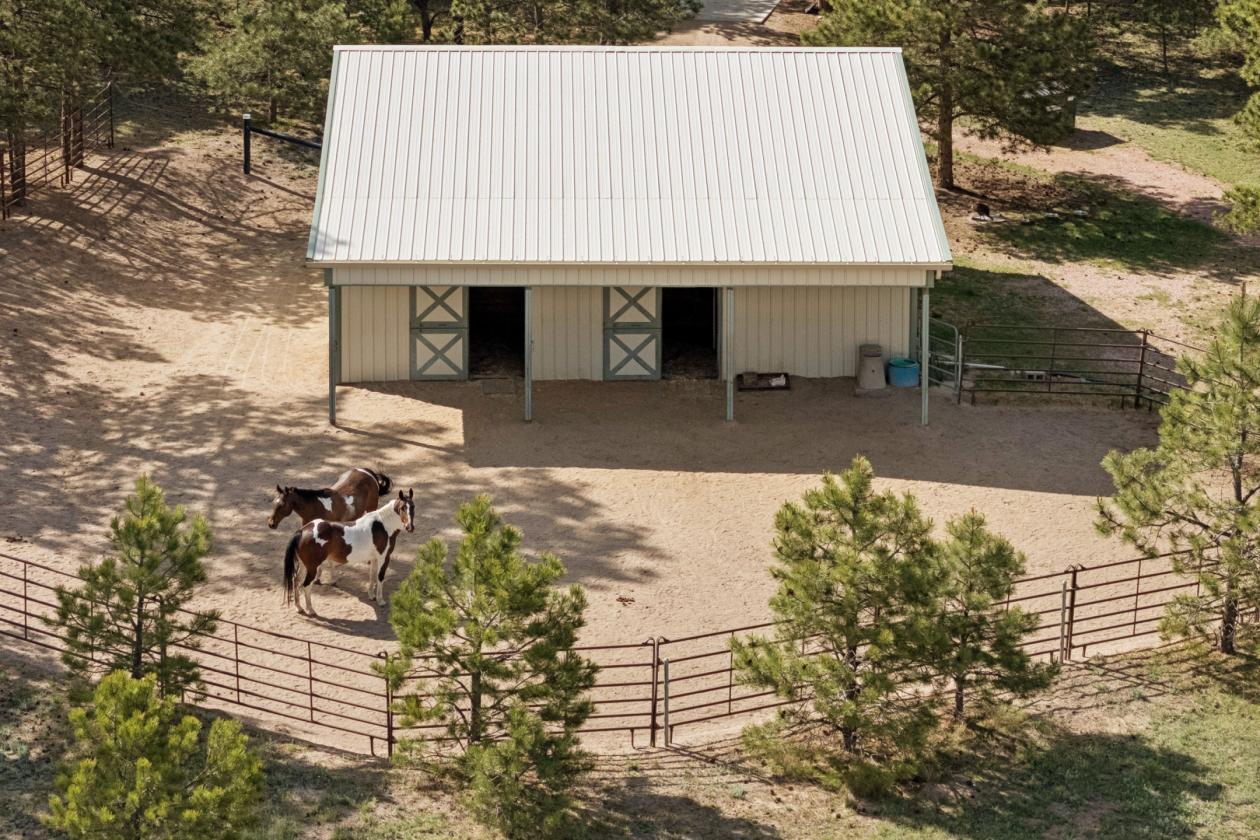37 Acres with Home, Barn, Shop & Pikes Peak Views - photo 26