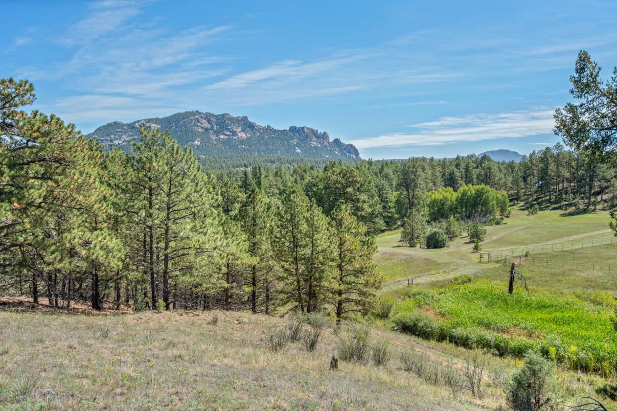 Spring Creek Ranch | Historic Horse Property - photo 7