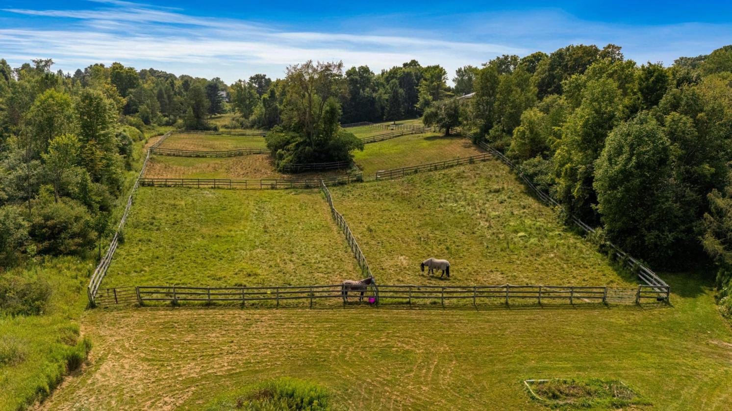 Established Equestrian Facility on 17 Acres - photo 7