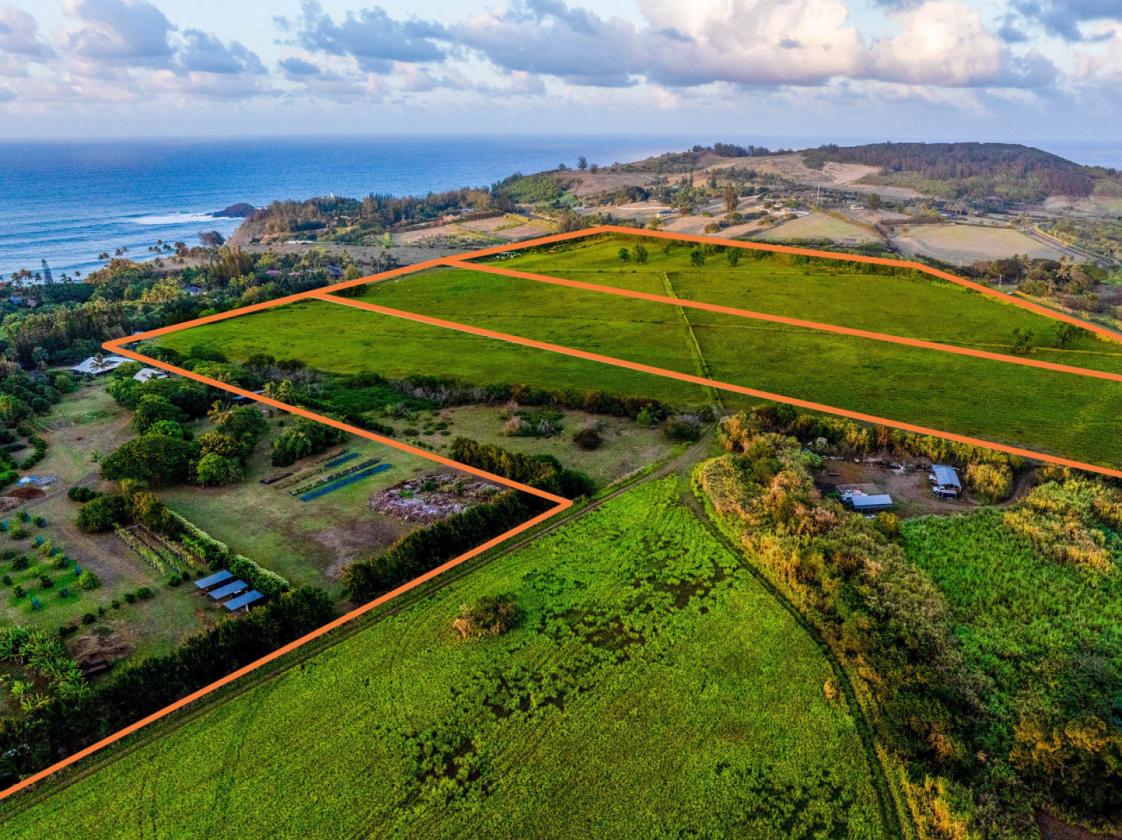 58+ Acres of Prime Land on Kauai's North Shore - photo 9