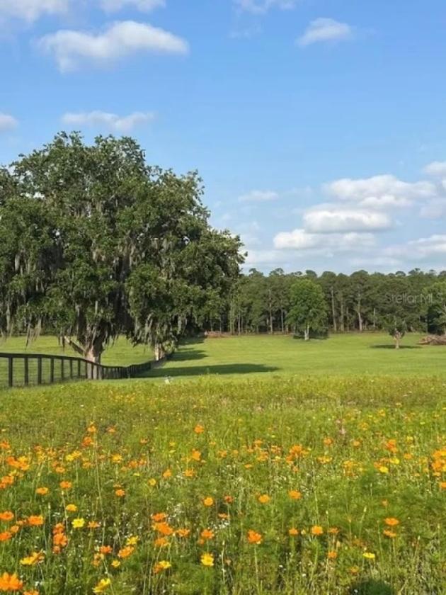 11 Acres Ready to Build Dream Farm 15 mins to WEC - photo 11