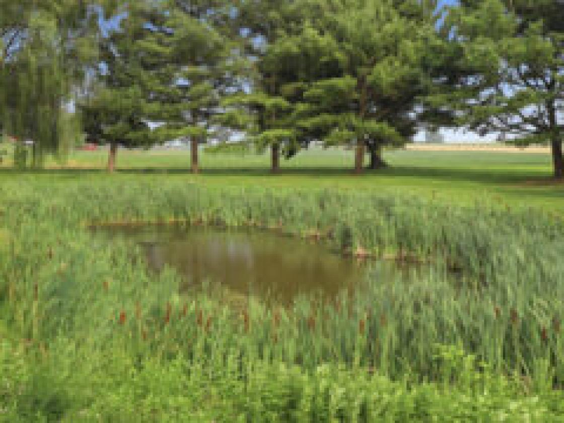 Once in a lifetime property! - photo 22