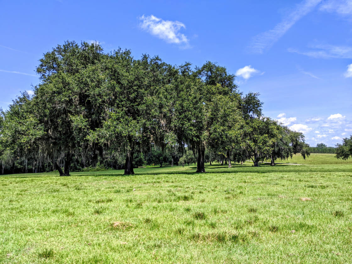 Rooks Ranch 2,193 Acres +\ Operating Cattle Ranch, Row Crop