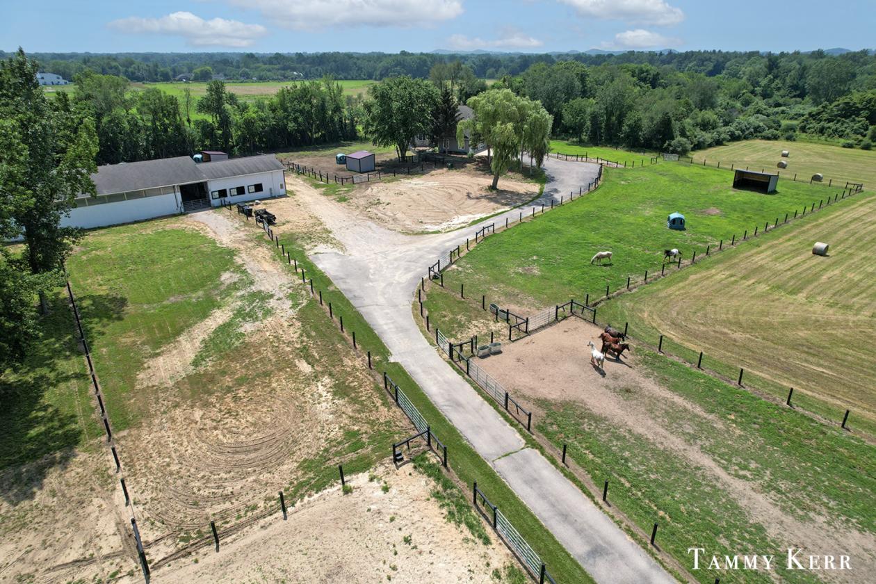 Equestrian Horse Farm - photo 2