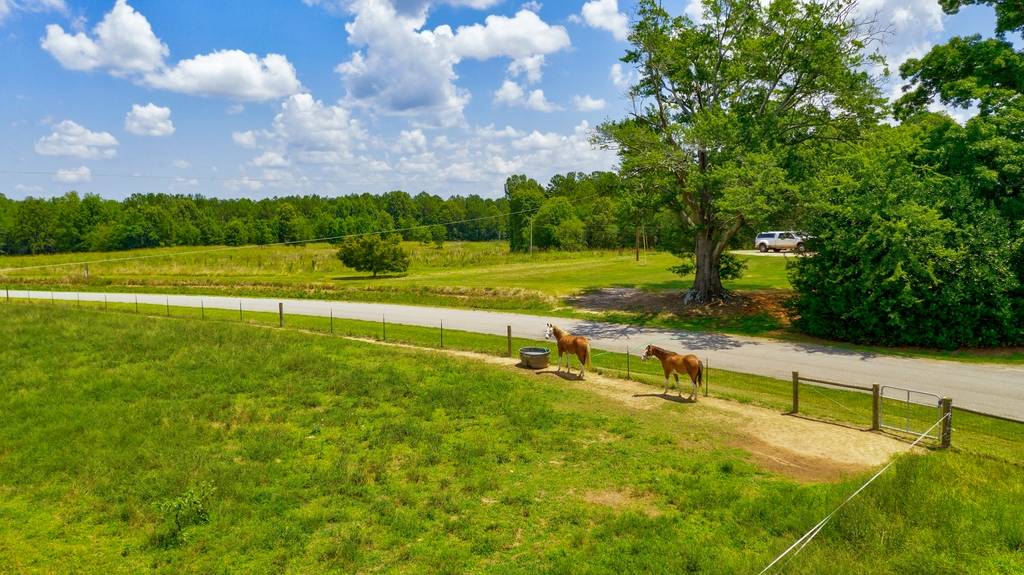 Crittenden Farms in Northeast Rayle, Wilkes County,