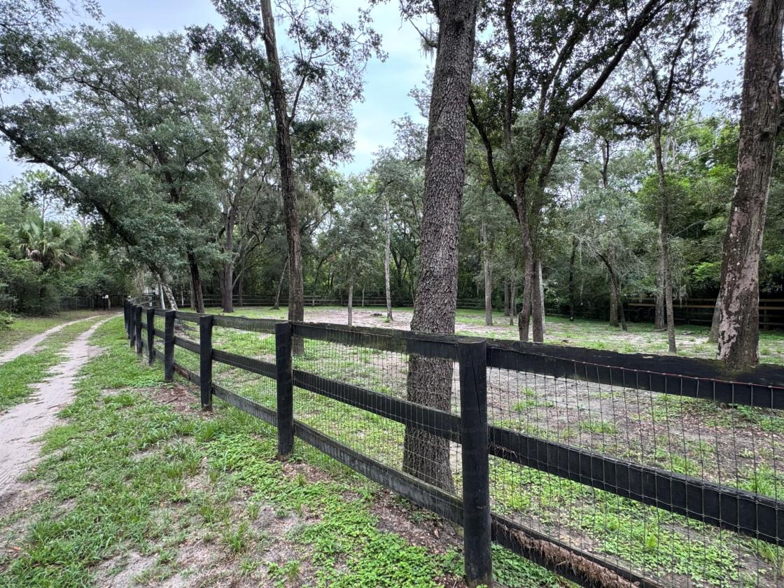 Country Charm, Suburban Ease in Central Florida - photo 21