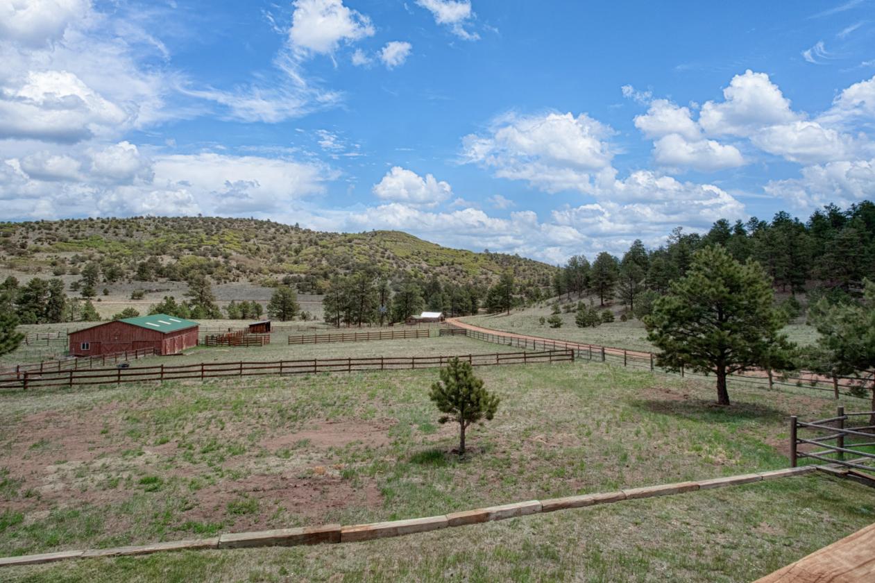Gated Community 35 acres, BLM Access, Homestead - photo 8