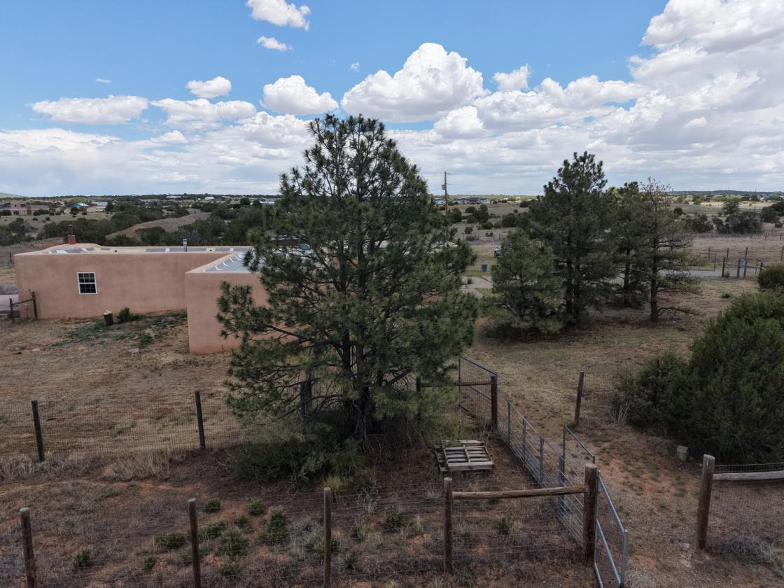 Fabulous, one of a kind horse property - photo 13