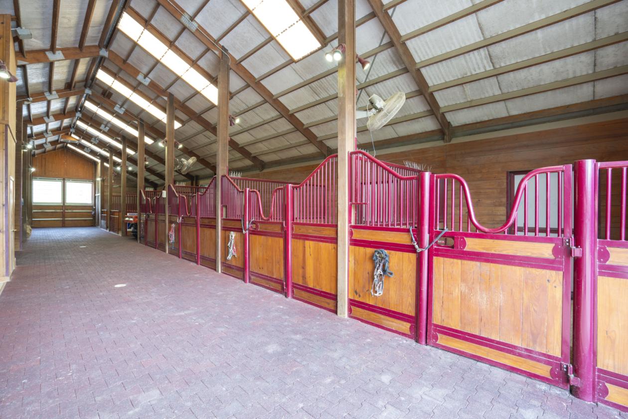 Exceptional Equestrian Estate on 134+ Acres - photo 6