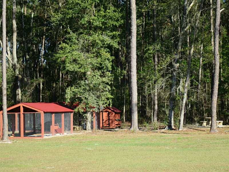 Luxury Hilltop MiniFarm 5+ Acres Reddick, Marion County, Florida