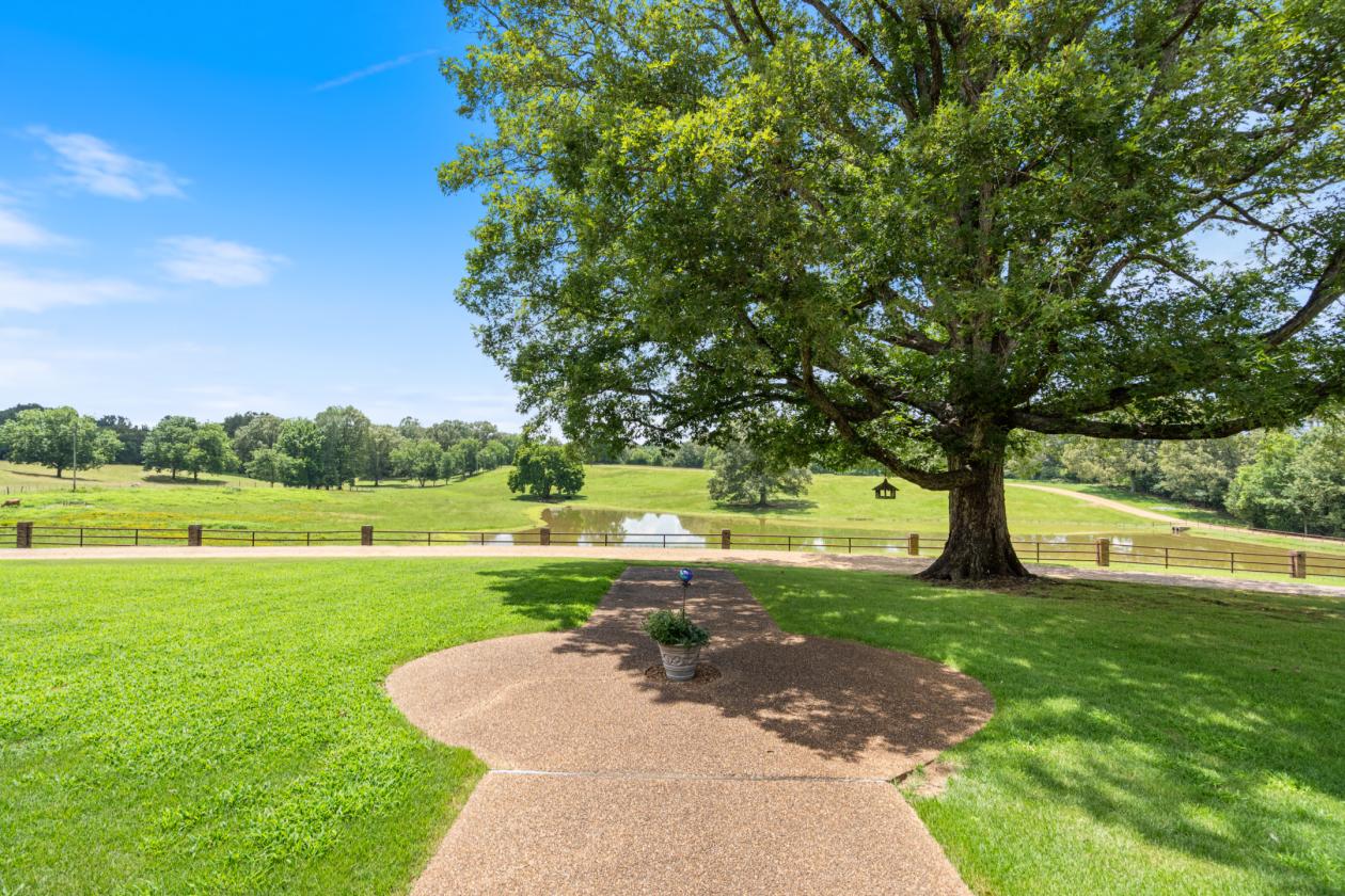 41-ACRE HORSE PROPERTY | 11 STALL BARN & ARENA - photo 7