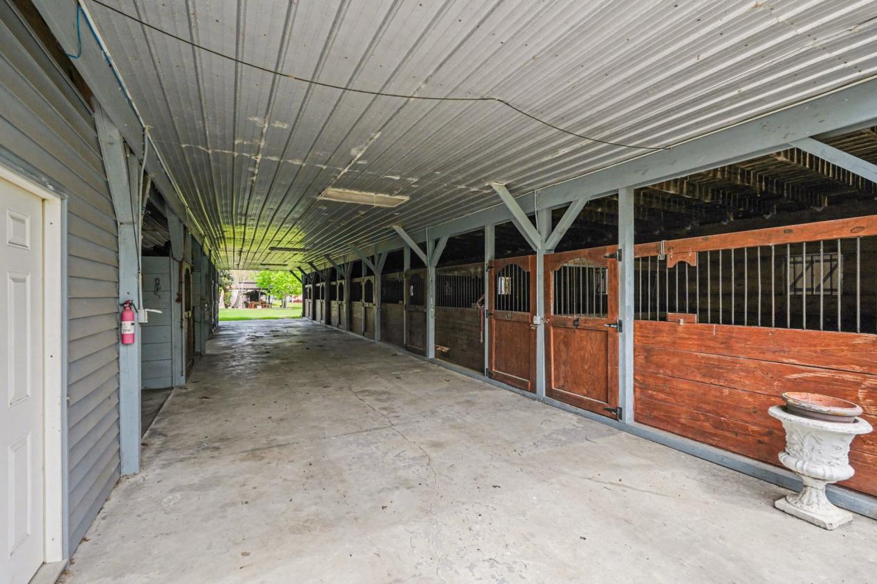 Affordable Equestrian property - photo 25