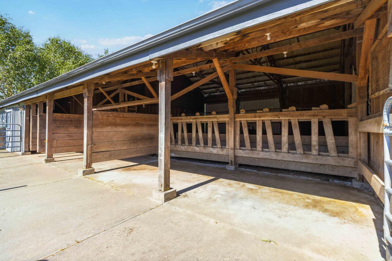 15 Beautiful Equestrian Acres backing Timberland - photo 8