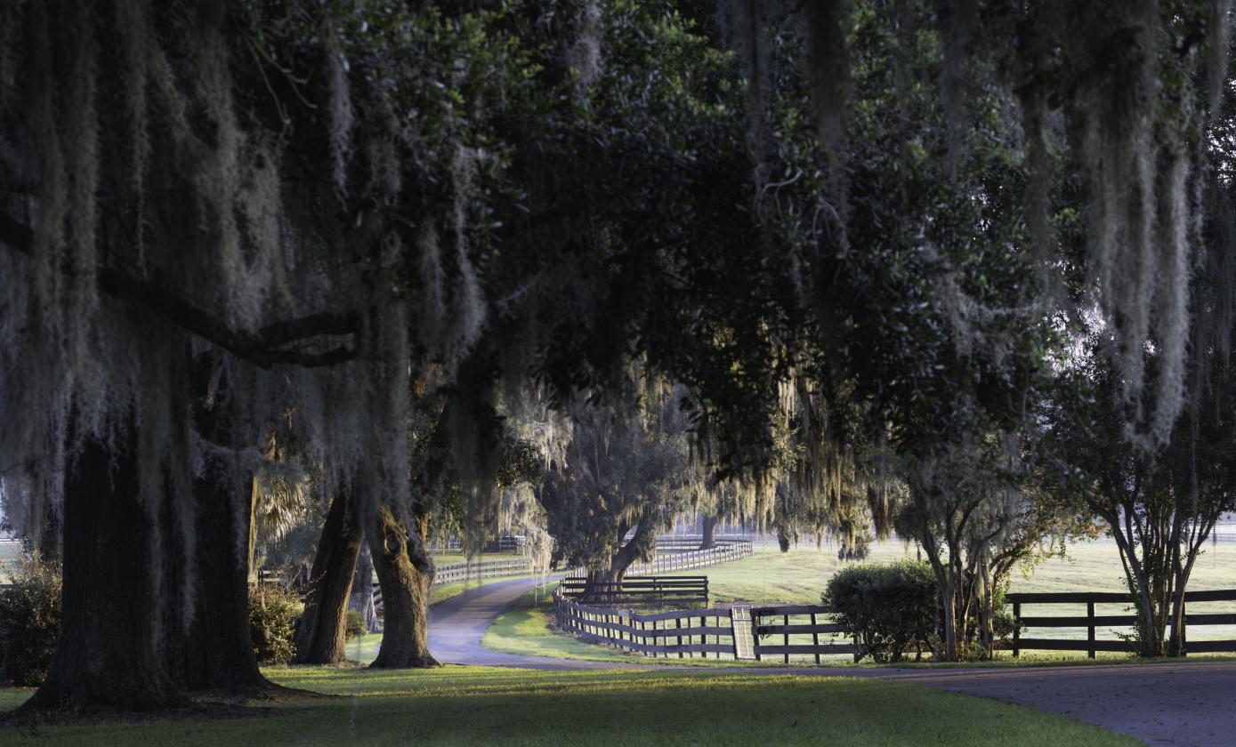 Kingwood Foxden - 4 miles to World Equestrian Center - photo 16