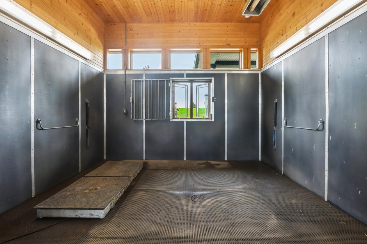 Luxury Equestrian center - photo 25