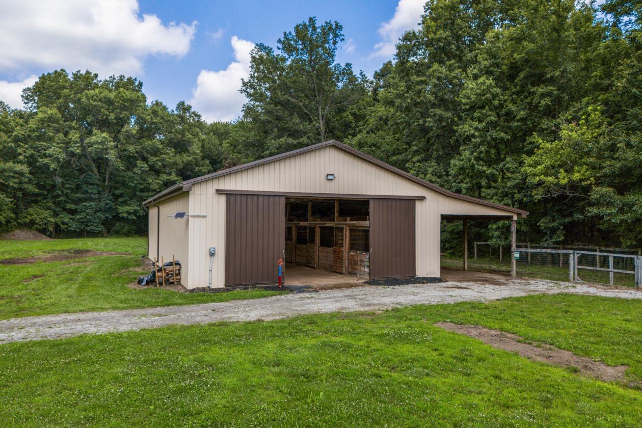 Small Horse Farm - photo 5