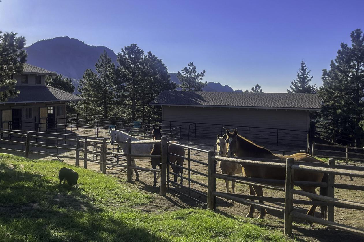 36-Acre Private Equestrian Estate - photo 8