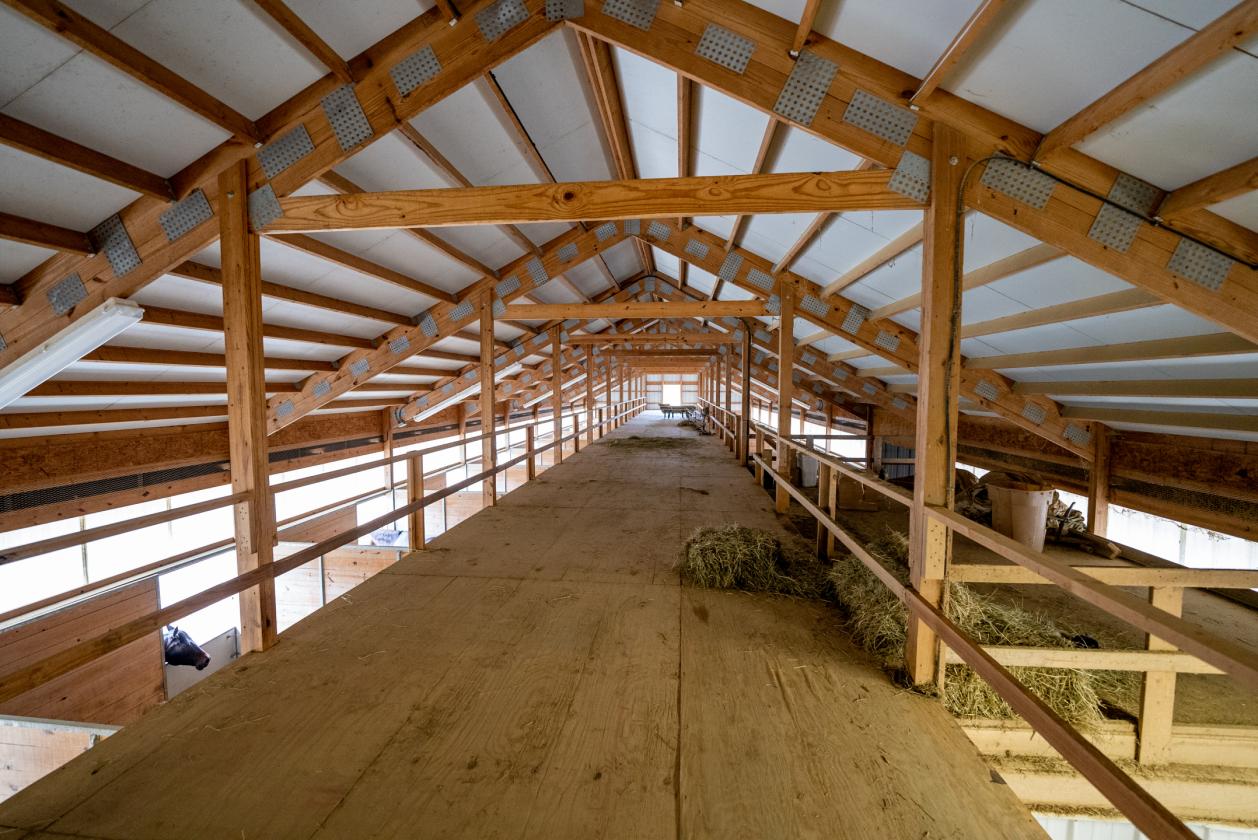 40 Stalls. 103 Acres. One Chance. Serenity Equine - photo 25