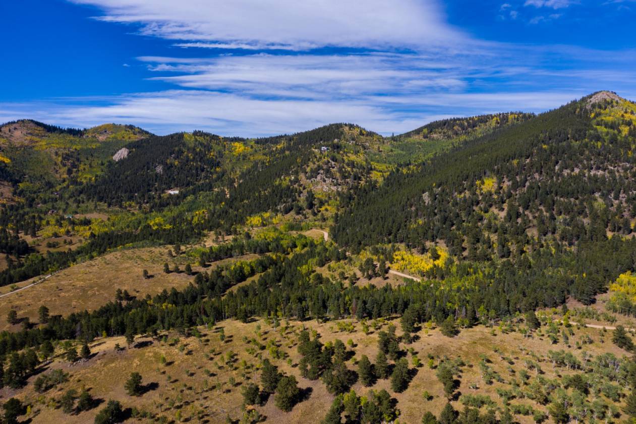 Rare horse property in the Golden foothills with stunning views