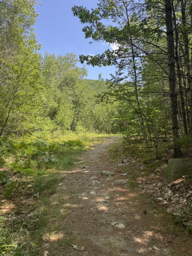 Exceptional Opportunity to Own 156± Acres - photo 2