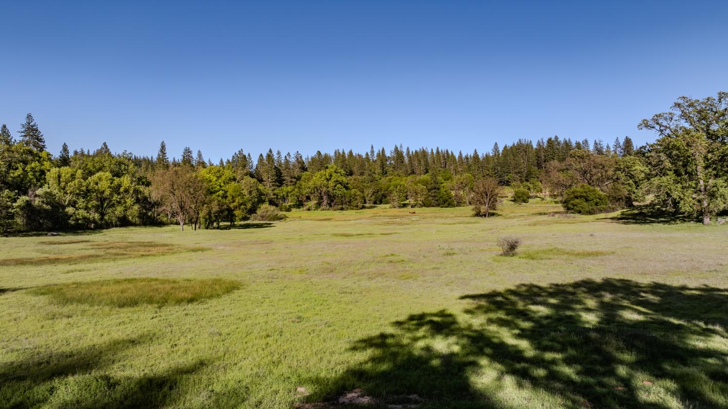40 Acres - Fully ADA/Wheelchair Accessible - photo 17
