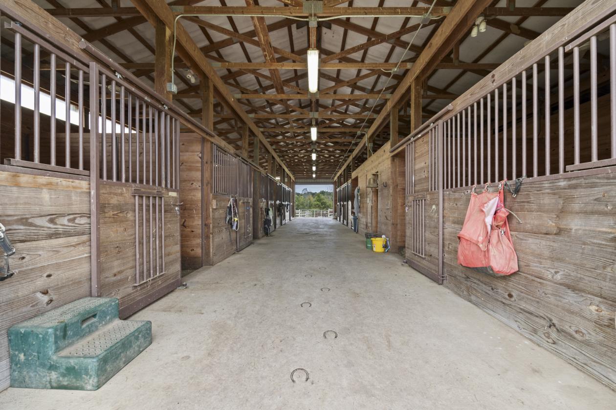22 Acres of Country Living - photo 9