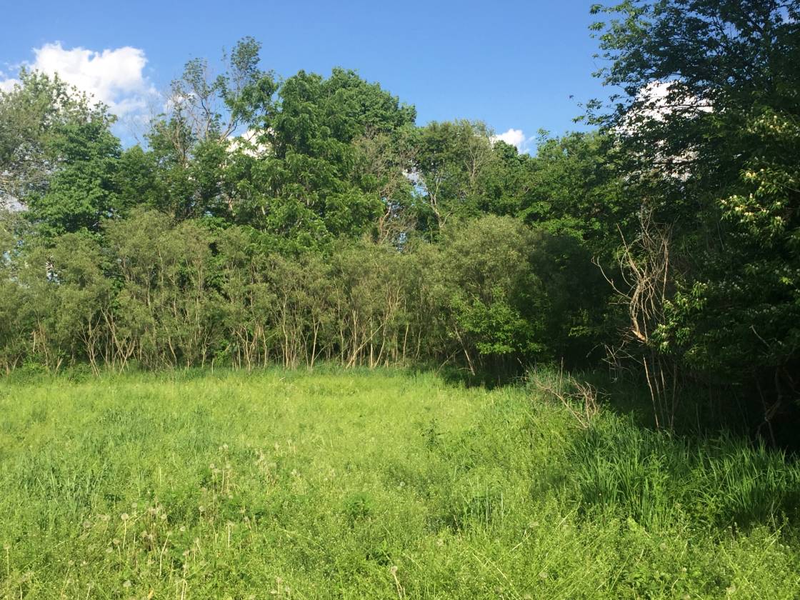 Breath-taking 6-acre property!! | Earlville, Lasalle County, Illinois ...